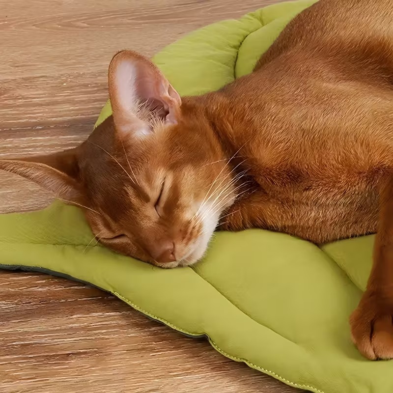リバーシブルソフトリーフペットクッション、洗える滑り止めベッ - Outdoor Camping Dog Bed のレビューと価格