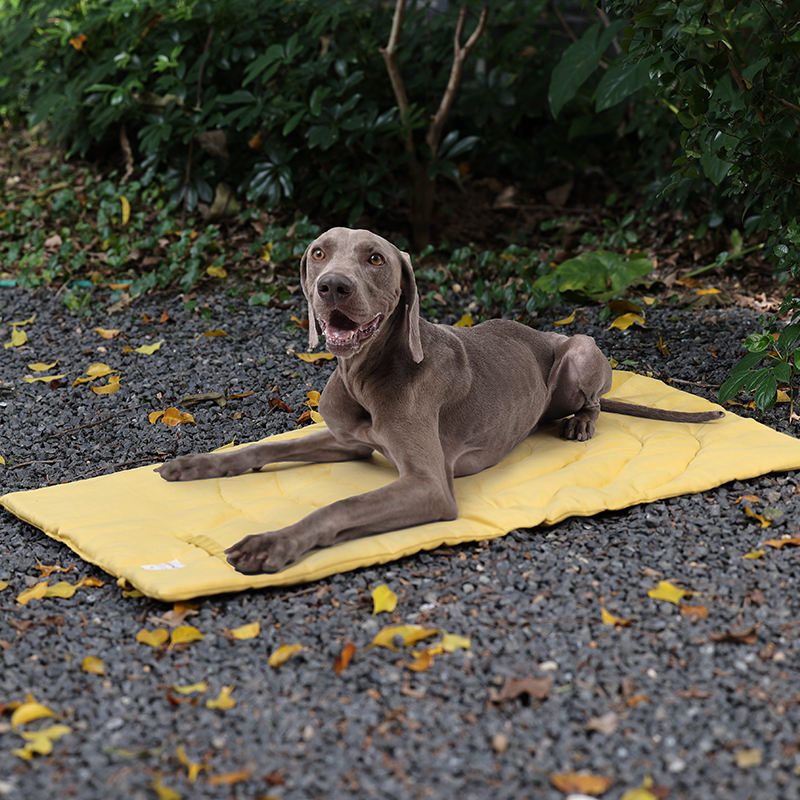 ポータブル折りたたみ式ペットマット,収納バッグ,ペット用品, - Outdoor Camping Dog Bed のレビューと価格