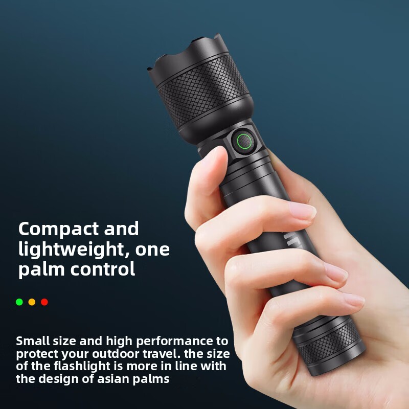 2025年最新 フィリップス SFL2188 LED アルミ - Outdoor Camping Light Portable のレビューと価格