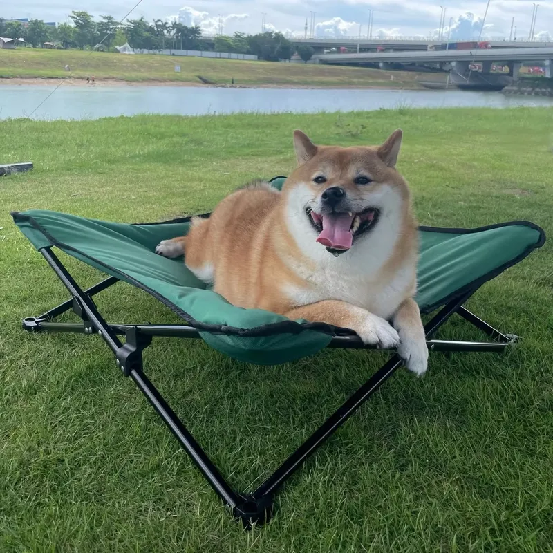 豪華でモダンなポータブル犬用ベッド、防水猫用マット、旅行キャ - Outdoor Camping Dog Bed のレビューと価格